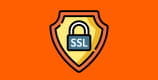 Das Bild zeigt ein Vorhängeschluss mit dem SSL-Schriftzug.