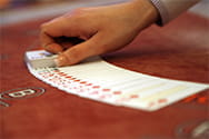 Das indische Glücksspiel Andar Bahar im Live Casino online spielen