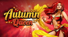 Moderner Videoslot mit 40 Lines und bis zu 80 Free Spins
