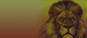 Eine Figur aus dem Safari Deam Slot.