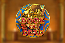 Im Casumo: Das Automatenspiel Book of Dead.