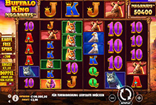 Der Buffalo King Megaways Slot von Pragmatic Play bei Ditobet.