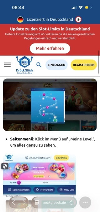 Die Erklärung des Level-Programms bei DrückGlück.