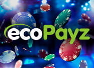 Das Logo von ecoPayz vor einer Illustration einer Internet Spielbank.