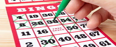 Bingo Regeln Spielanleitung Im Guide Erklart