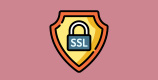 SSL-Schloß Symbol.