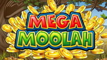 Große Gewinne gibt es beim Mega Moolah Jackpot von Microgaming.