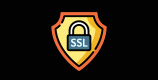 Ein SSL Sicherheitsabzeichen.