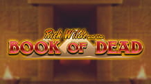 Der Automat Book of Dead von Play'n GO.
