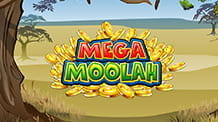 Mega Moolah Slot von Microgaming.