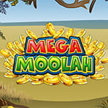 Der Microgaming Jackpot Slot Mega Moolah.
