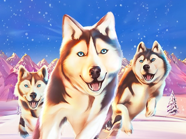 Arctic Race - Spielautomaten