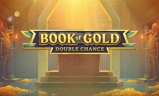 Das Logo des Spiels Book of Gold: Double Chance von Playson.