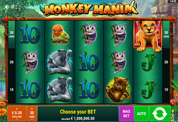 Spiele Monkey Mania im Casino um Echtgeld & kostenlos