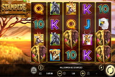 Das Automatenspiel Stampede bei Blue Leo.