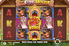Der Online Spielautomat The Dog House Megaways.