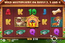 Der Spielautomat The Dog House im N1 Bet.