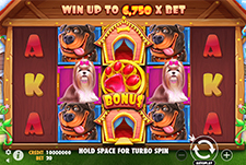 The Dog House von Pragmatic Play im RomanCasino.