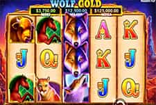 Im LuckyWins: Der Spielautomat Wolf Gold.