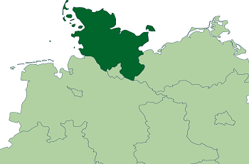 Grüne in Schleswig-Holstein fordern Neuanfang