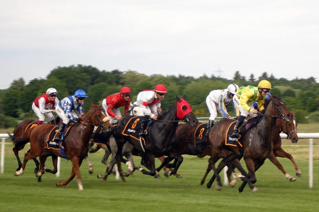 Dieses Bild ist eine Fotoaufnahme eines Pferderennens. Zu sehen sind sieben Rennpferde mit ihren Jockeys.