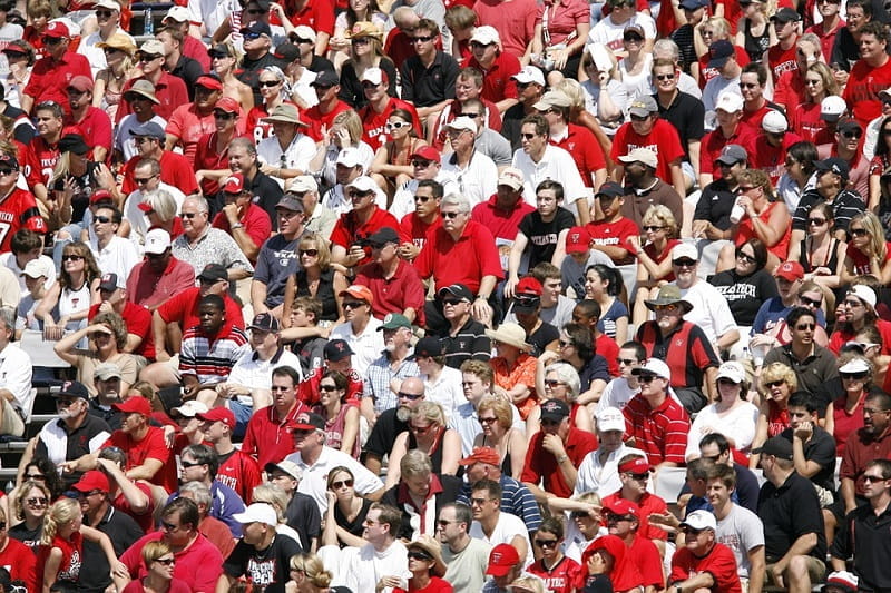 US-amerikanische Sportfans im Stadion