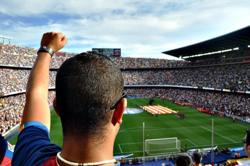 Ein Mann mit blauem Shirt und hochgestreckter linker Faust im Fußballstadion.