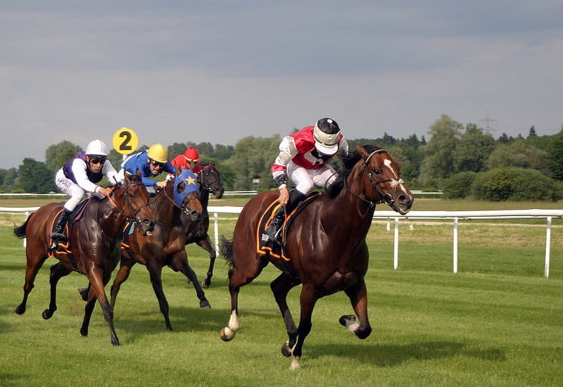 Britische Jockeys im Galopp.
