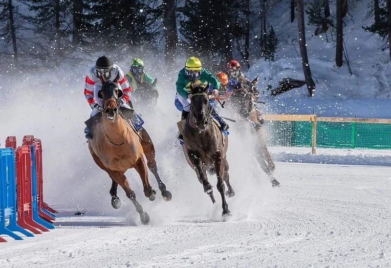 Rennpferde und Jockeys während eines Rennens bei Schnee.