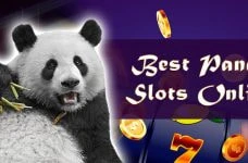 Die besten Panda Slots online
