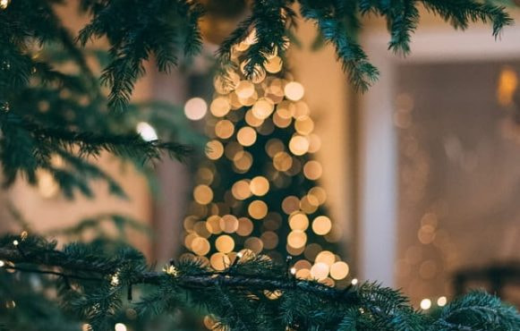 Weihnachtsbaum.