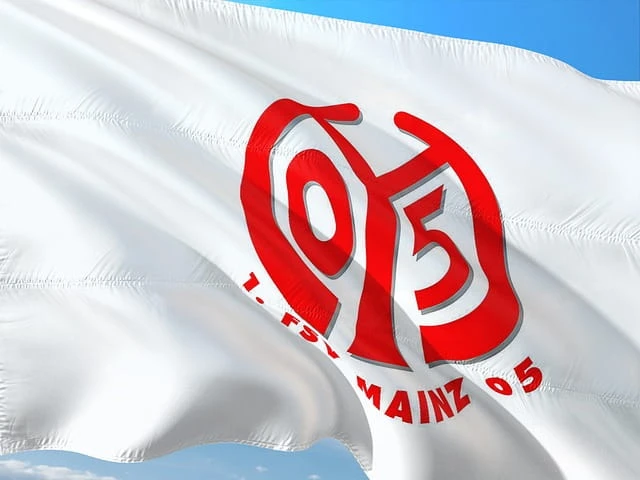 Die Flagge des 1. FSV Mainz 05.