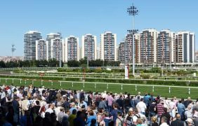 Eine Galopprennbahn.