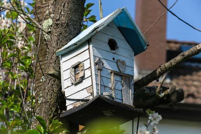 Ein Vogelhaus hängt an einem Baum.