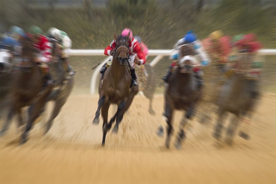 Pferde und Jockeys von hinten gesehen beim Pferderennen