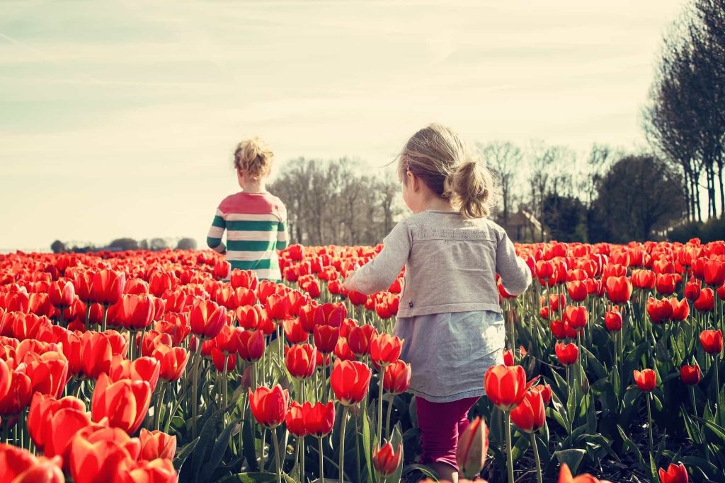 Kinder in einem Tulpenbeet 