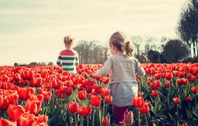 Kinder in einem Tulpenbeet