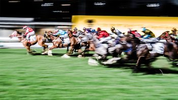 NOVOMATIC kooperiert mit PariMAX: Gibt es bald Book of Ra als Historical Horse Race?