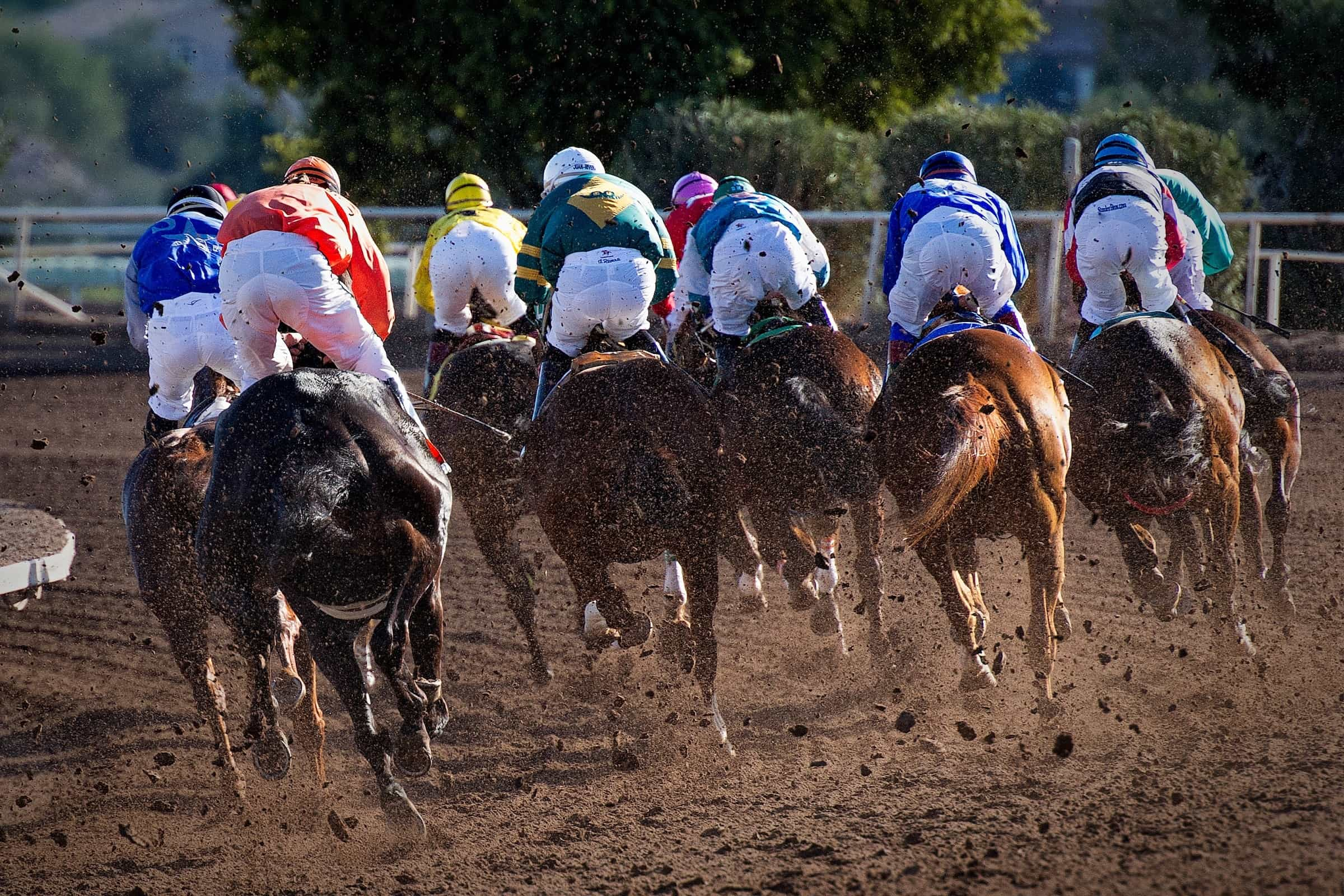 Pferde mit Jockeys auf einer Rennstrecke