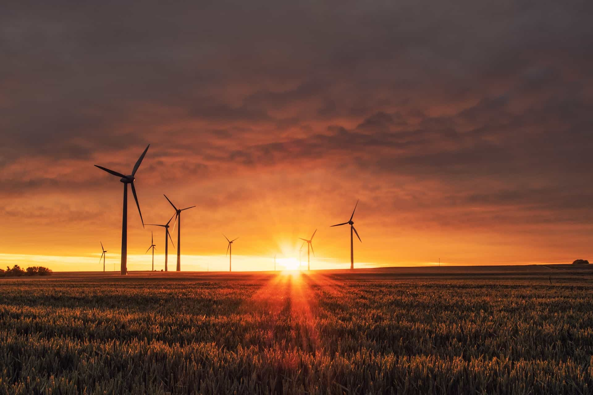 Ein Feld mit Windrädern im Hintergrund