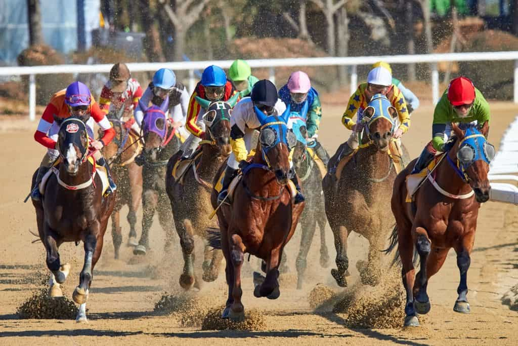 Pferde und Jockeys auf der Rennbahn