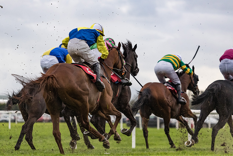 Pferde und Jockeys auf der Rennbahn