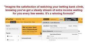 Oberfläche eines Betfair Kontos