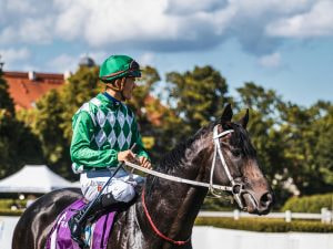 Ein Jockey auf einem Rennpferd 