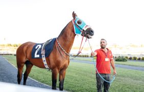 Mann mit einem Rennpferd
