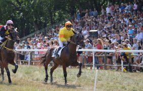 Jockeys reiten auf Rennpferden auf einer Rennbahn