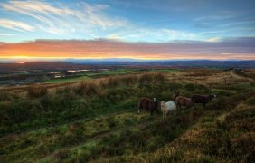 Felder in Nordirland.