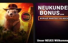 Foto der Bonusaktionen in der Novoline Online Spielothek