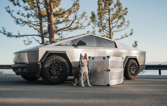 Ein Hund vor einem Tesla Cybertruck.