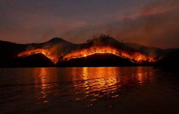 Waldbrand vom Wasser aus fotografiert.